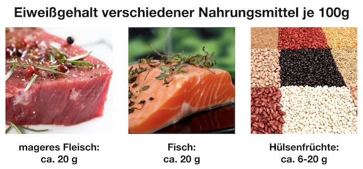 Eiweißgehalt verschiedener Lebensmittel 100g